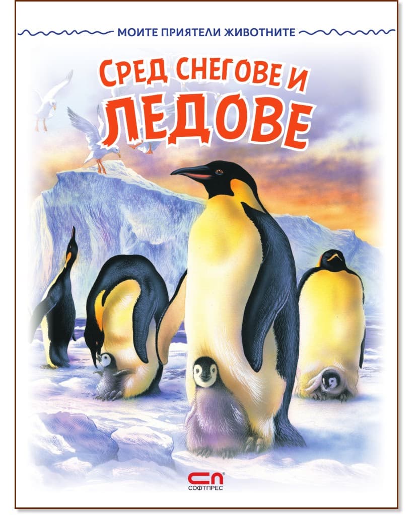 Корица на „Сред снегове и ледове"
