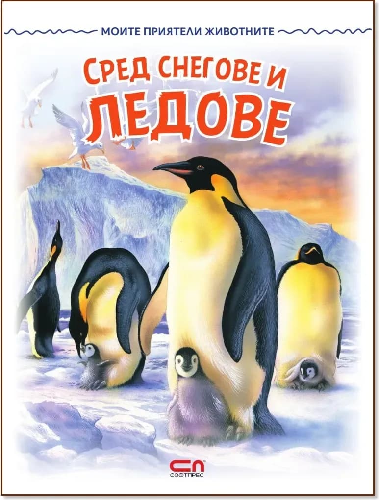 Корица на „Сред снегове и ледове“