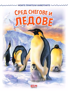 Корица на „Сред снегове и ледове"