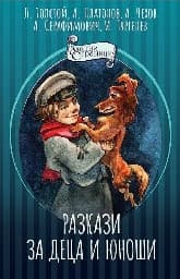 Корица на „Разкази за деца и юноши"