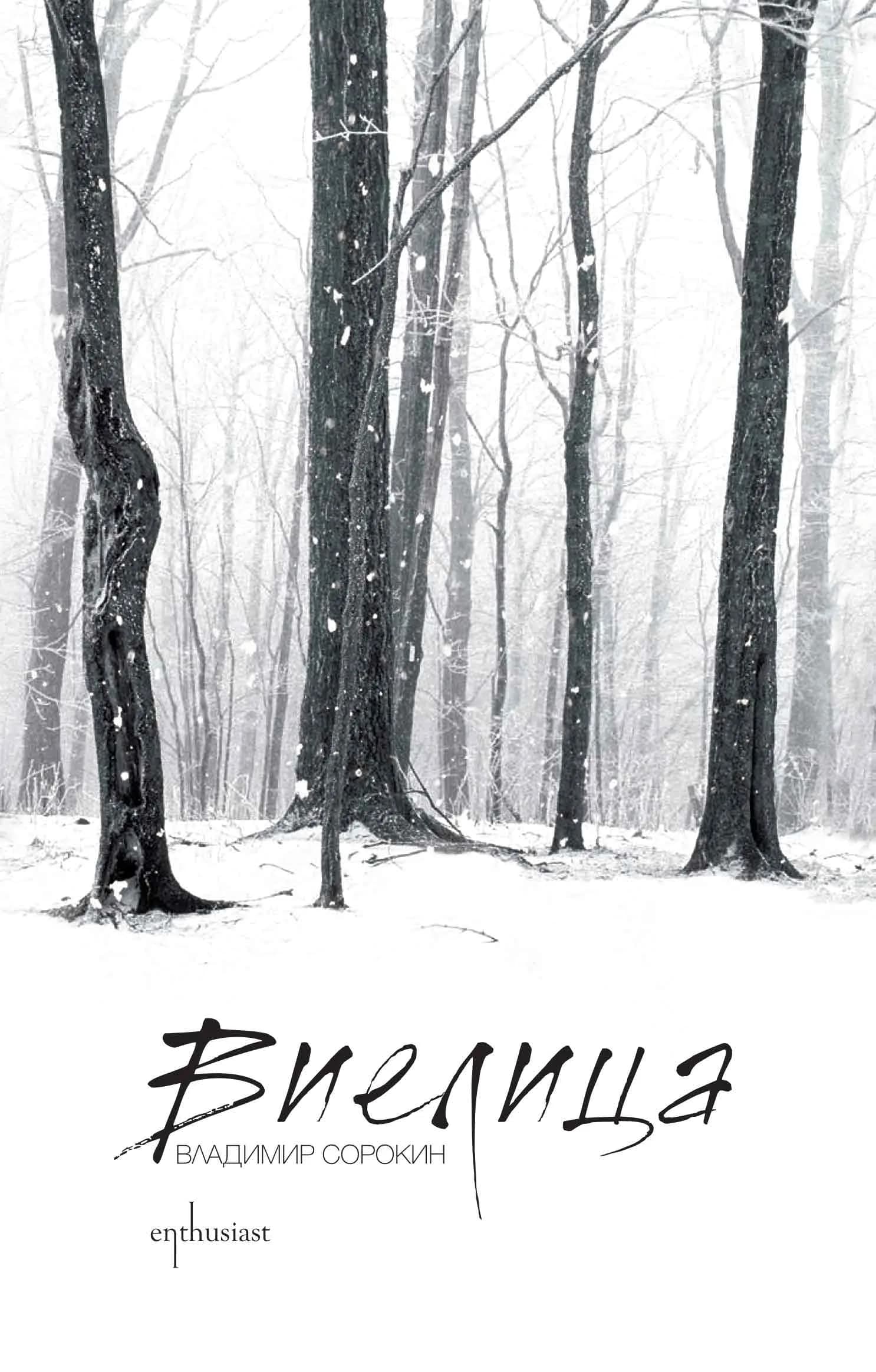 Корица на „Виелица“, Владимир Сорокин