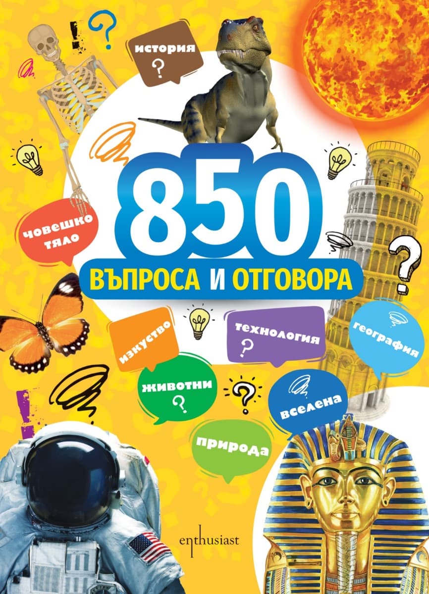 Корица на „850 въпроса и отговора" — Киара Брицолара