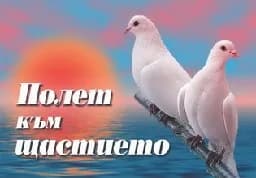 Корица на „Полет към щастието"