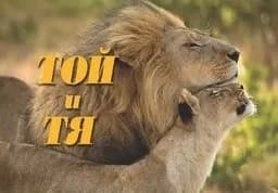 Корица на „Той и Тя"