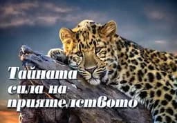 Корица на „Тайната сила на приятелството"