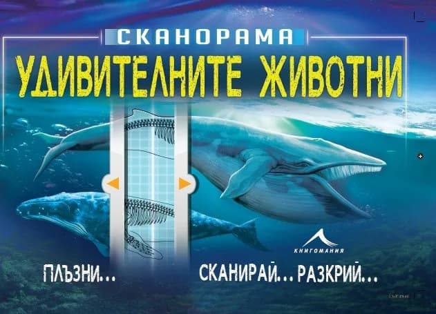 Корица на „Удивителните животни - Сканорама“, Анна Клейборн