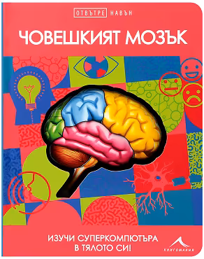 Корица на „Отвътре навън: Човешкият мозък"