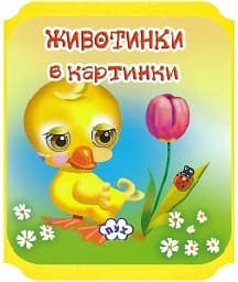 Корица на „Животни в картинки: Пате - мека книжка"