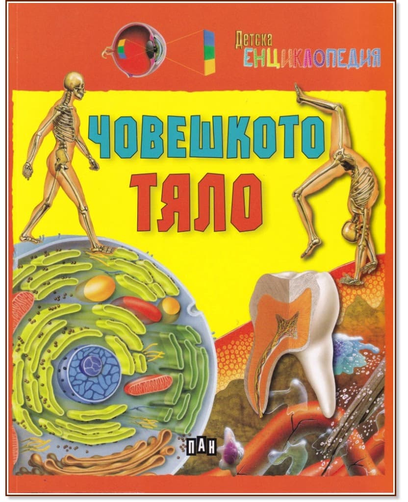 Корица на „Детска енциклопедия: Човешкото тяло"