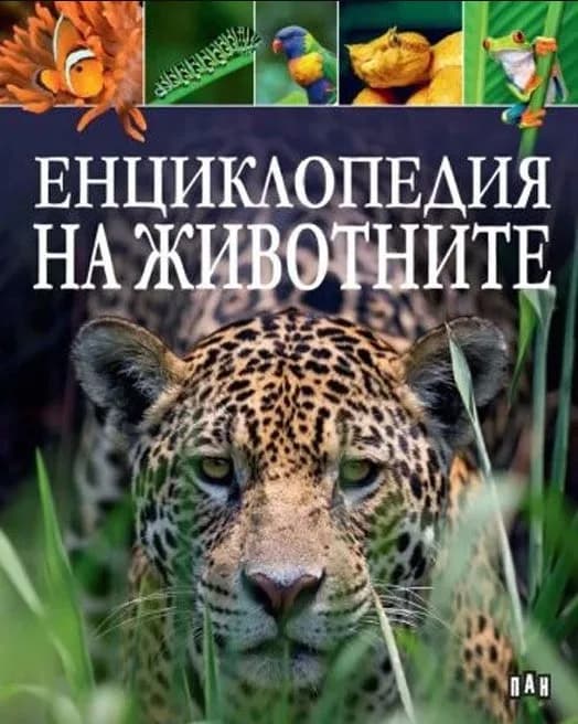 Корица на „Енциклопедия на животните“, Колектив