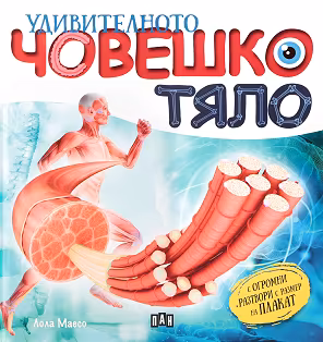 Корица на „Удивителното човешко тяло"