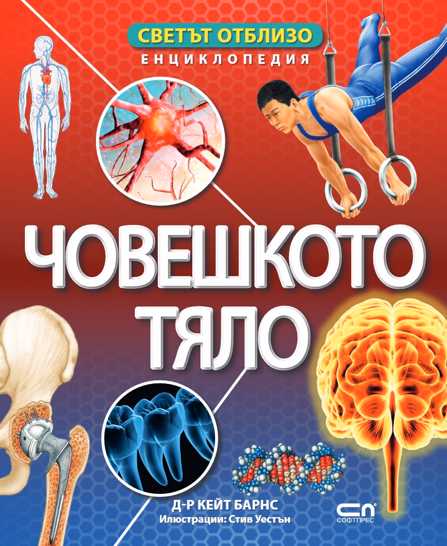 Корица на „Светът отблизо: Човешкото тяло" — Д-р Кейт Барнс