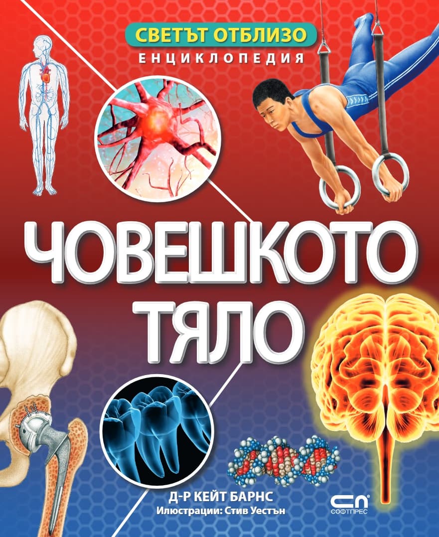 Корица на „Светът отблизо: Човешкото тяло" — Д-р Кейт Барнс