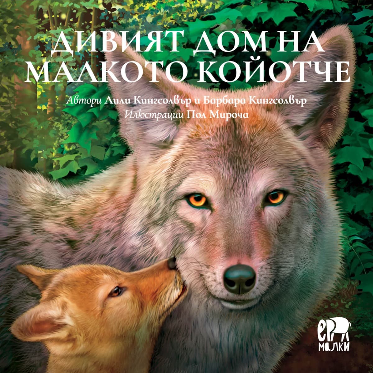 Корица на „Дивият дом на малкото койотче"