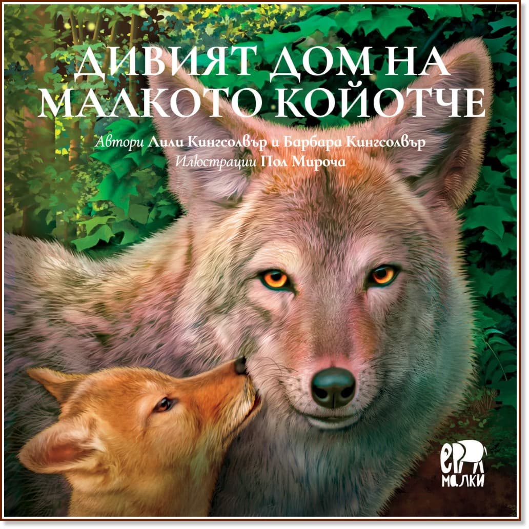 Корица на „Дивият дом на малкото койотче"