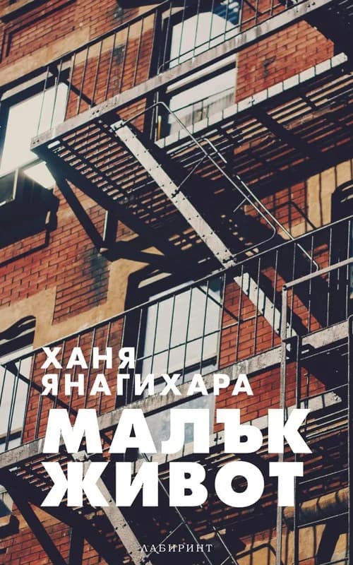 Корица на „Малък живот“, Ханя Янагихара