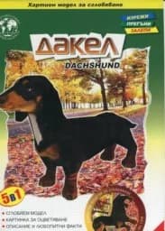 Корица на „Хартиен модел за сглобяване - Дакел“