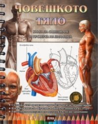 Корица на „Човешкото тяло. Книга за оцветяване и проверка на знанията"
