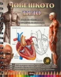 Корица на „Човешкото тяло. Книга за оцветяване и проверка на знанията"