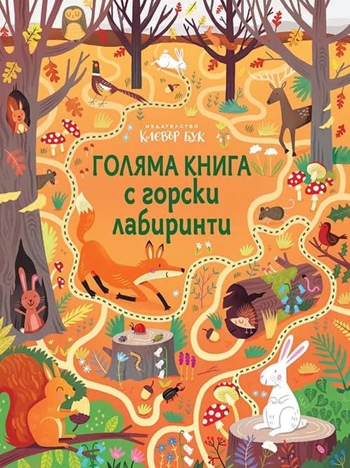 Корица на „Голяма книга с горски лабиринти“, Сам Смит