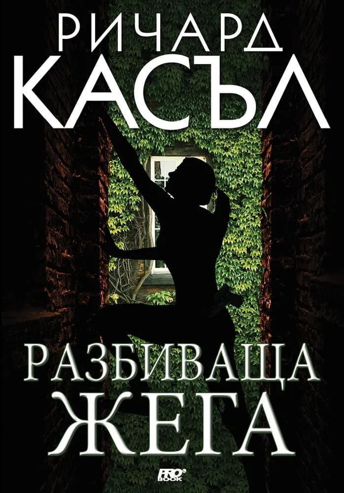 Корица на „Разбиваща жега - книга 10" — Ричард Касъл