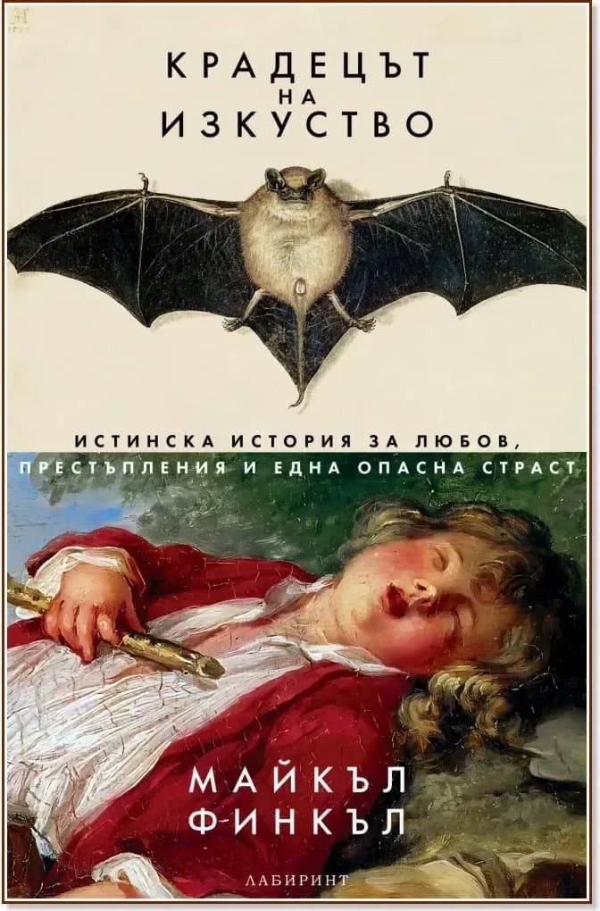 Корица на „Крадецът на изкуство“, Майкъл Финкъл
