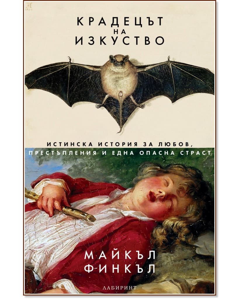 Корица на „Крадецът на изкуство" — Майкъл Финкъл