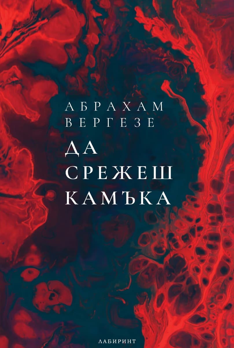 Корица на „Да срежеш камъка" — Абрахам Вергезе