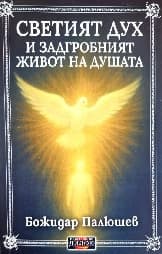 Корица на „Светият дух и задгробният живот на душата"