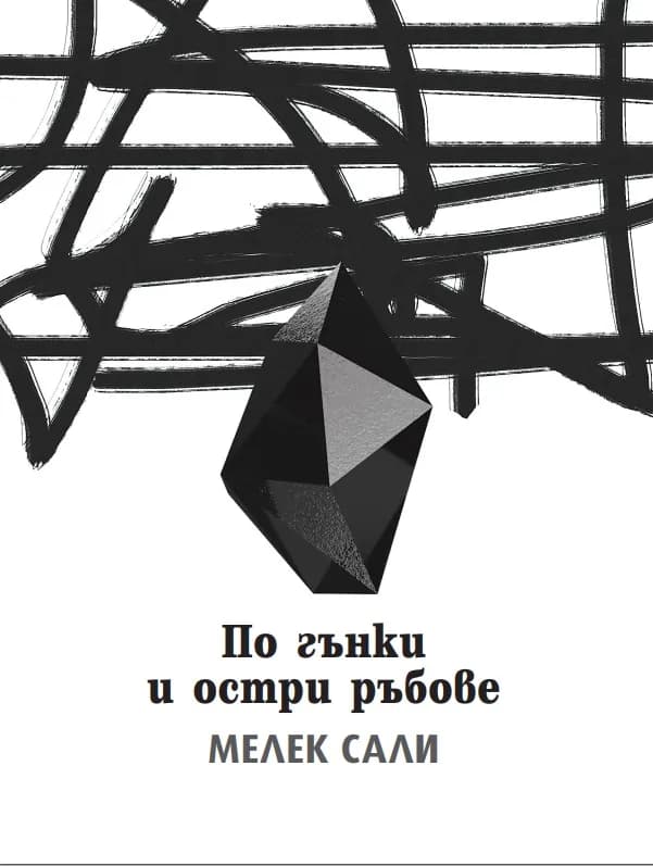 Корица на „По гънки и остри ръбове“, Мелек Сали