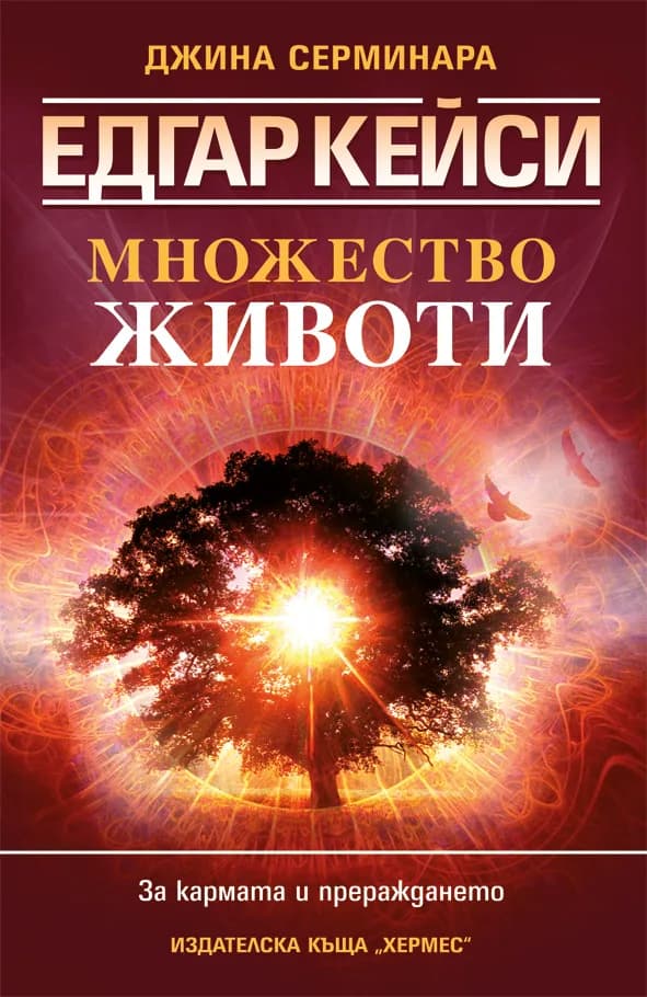 Корица на „Едгар Кейси: Множество животи“, Джина Серминара