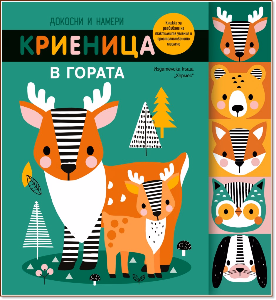 Корица на „Докосни и намери: Криеница в гората"
