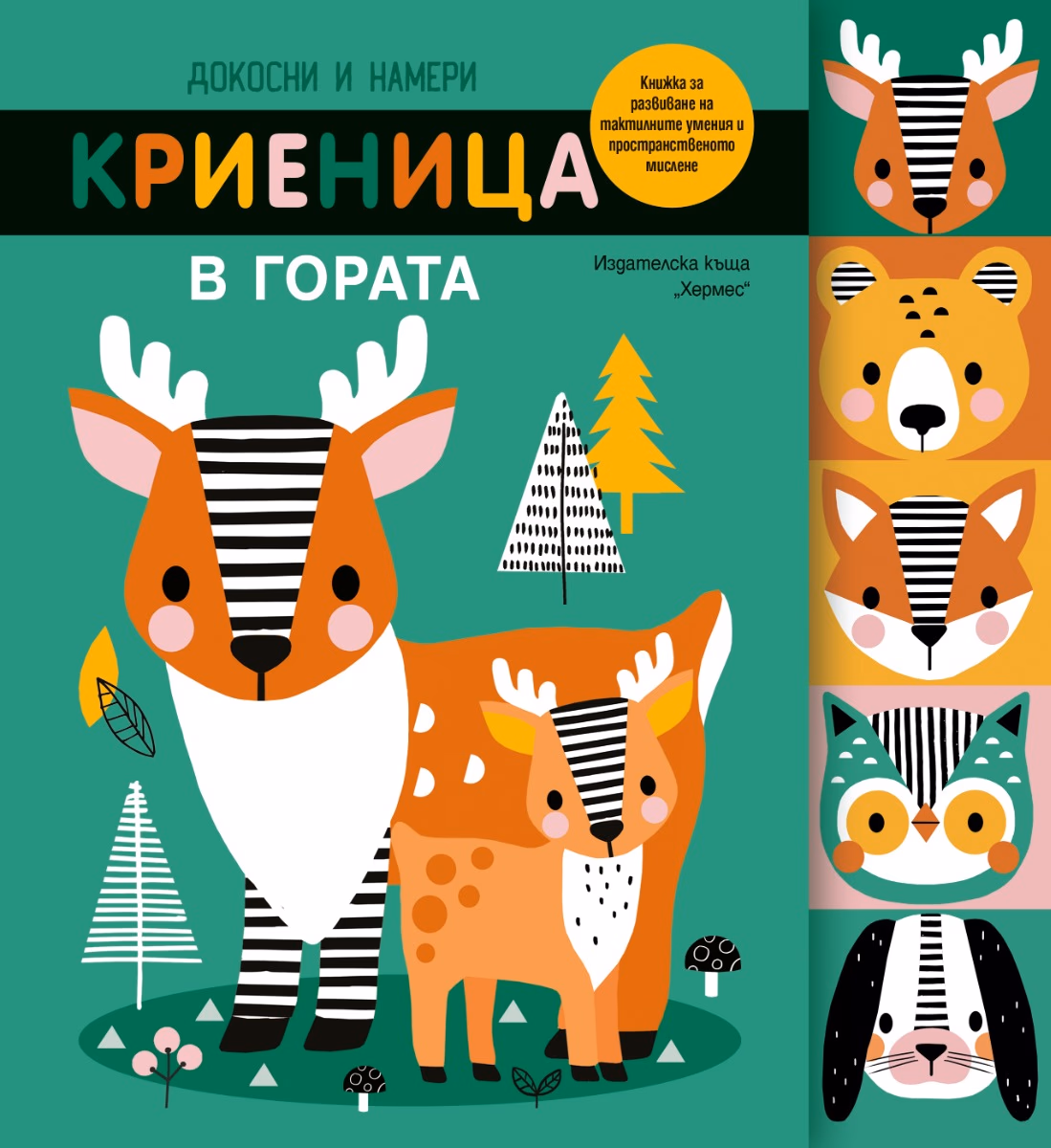 Корица на „Докосни и намери: Криеница в гората"