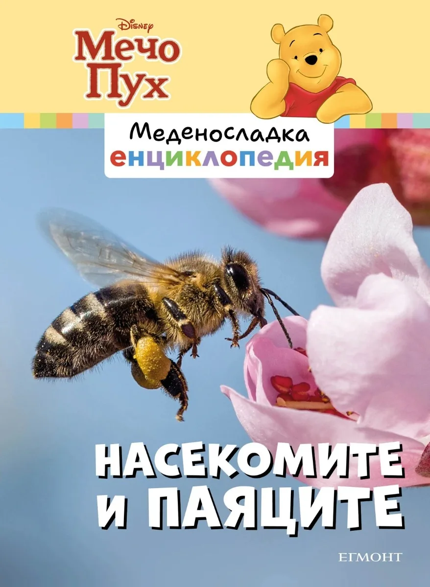Корица на „Насекомите и паяците - Меденосладка енциклопедия - ново издание“