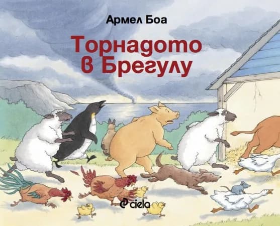 Корица на „Торнадото в Брегулу" — Армел Боа