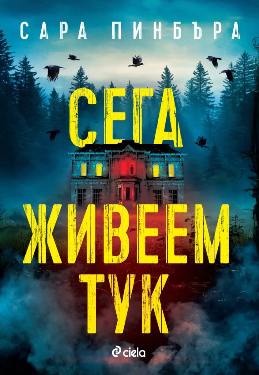 Корица на „Сега живеем тук" — Сара Пинбъра
