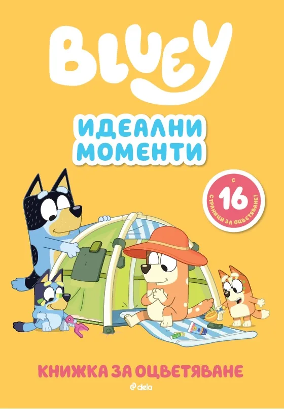 Корица на „Блуи - Идеални моменти“