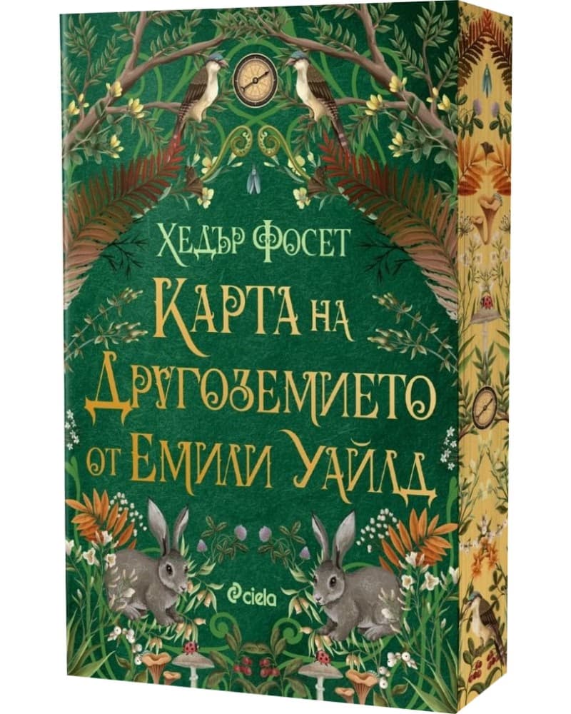 Корица на „Карта на Другоземието от Емили Уайлд"