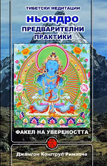 Корица на „Ньондро. Предварителни практики. Факел на увереността"
