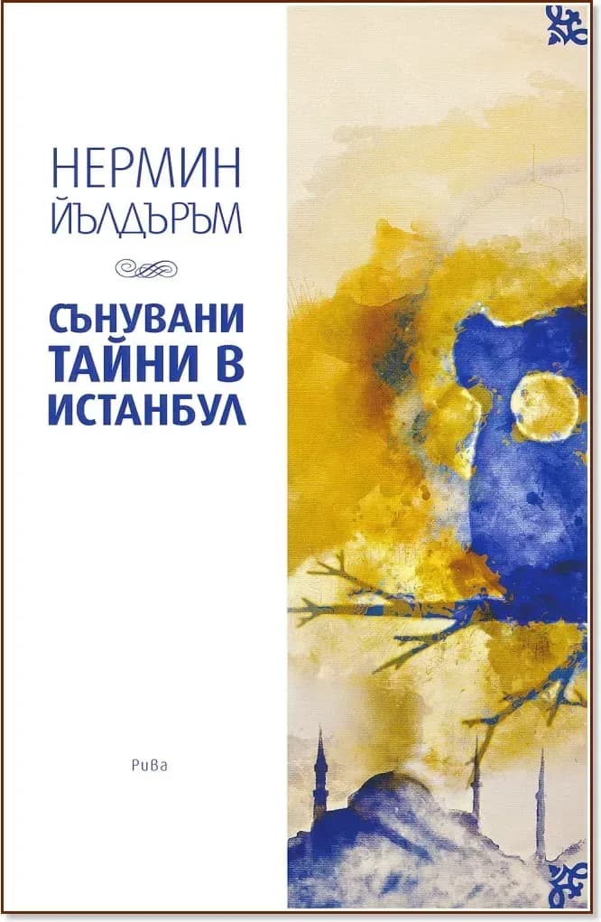 Корица на „Сънувани тайни в Истанбул“, Нермин Йълдъръм