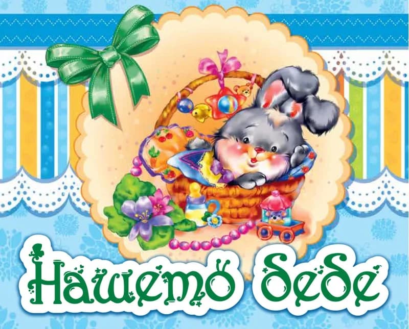 Корица на „Нашето бебе - син албум“