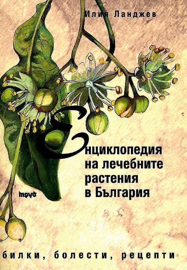 Корица на „Енциклопедия на лечебните растения в България“, Илия Ланджев