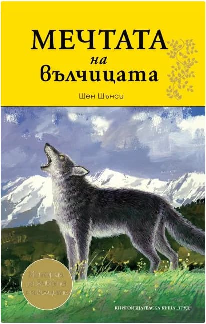 Корица на „Мечтата на вълчицата“, Шен Шънси