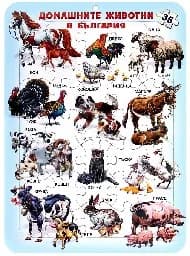 Корица на „Домашните животни в България - Пъзел - пано“