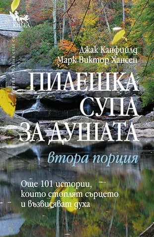 Корица на „Пилешка супа за душата. Втора порция“, Джак Канфийлд