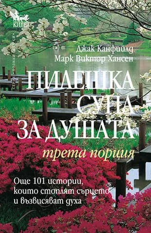 Корица на „Пилешка супа за душата. Трета порция“, Марк Хансен