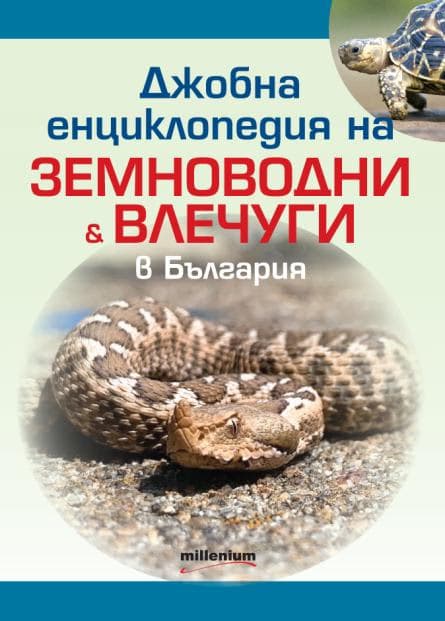Корица на „Джобна енциклопедия на земноводни и влечуги в България"
