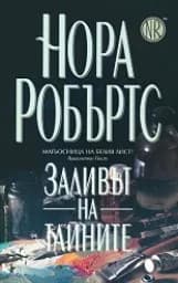 Корица на „Заливът на тайните“