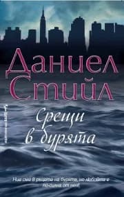 Корица на „Срещи в бурята“, Даниел Стийл