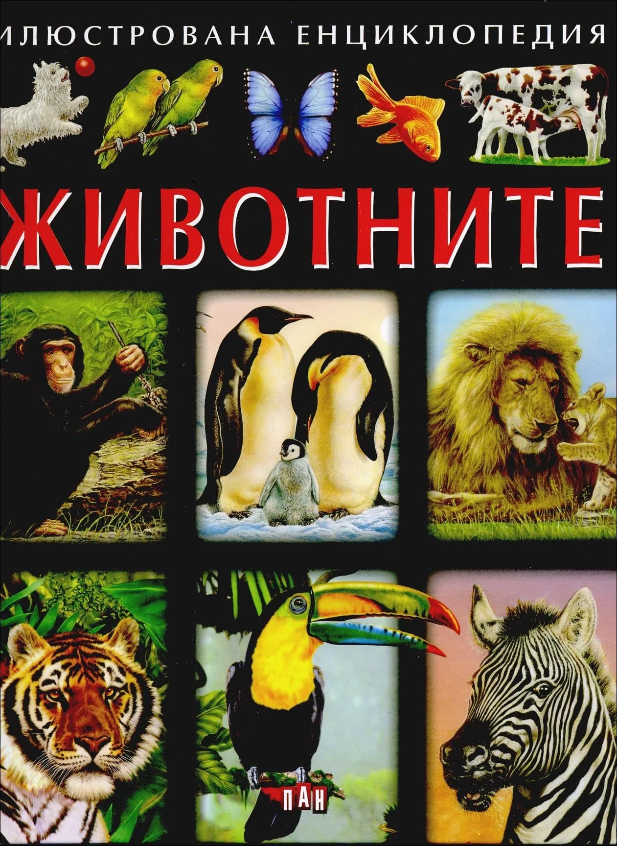 Корица на „Илюстрована енциклопедия: Животните“, Емили Бомон